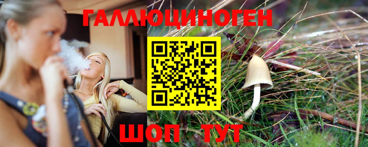 Псилоцибиновые грибы Magic Shrooms  Вход с VPN  цена наркотик  Кудрово 