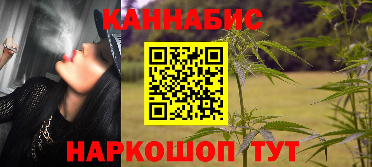 Канабис OG Kush  Каннабис Amnesia  Бошки марихуана план  Вход с VPN  Кудрово  Шишки марихуана марихуана 